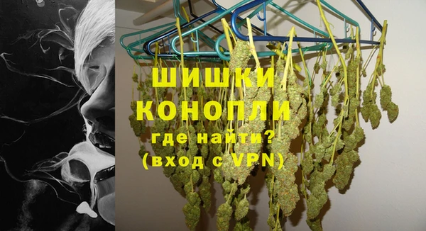 сатива Богородицк