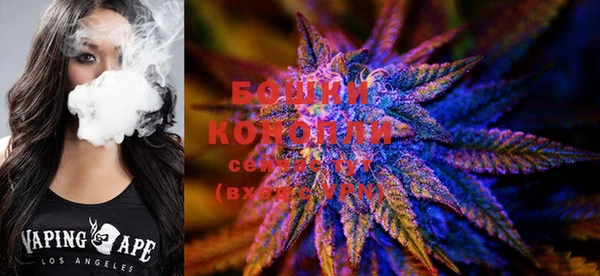 сатива Богородицк