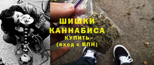 сатива Богородицк