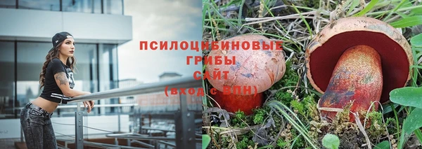 сатива Богородицк