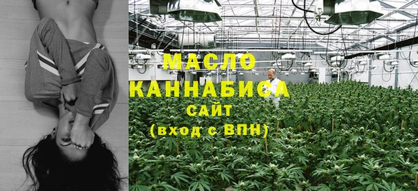 сатива Богородицк