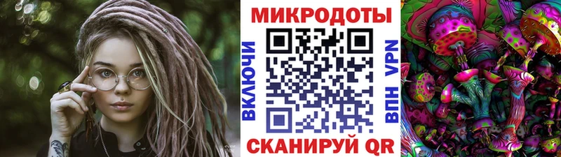 купить наркотик  Кимовск  Галлюциногенные грибы MAGIC MUSHROOMS 